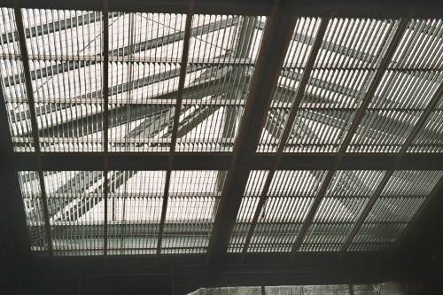 Skylight domestic